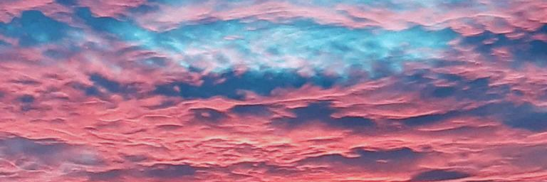 header profile