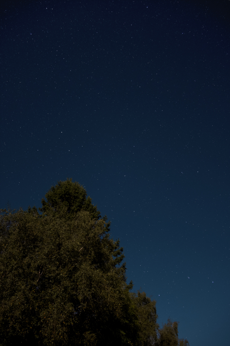 #Night #Stars
