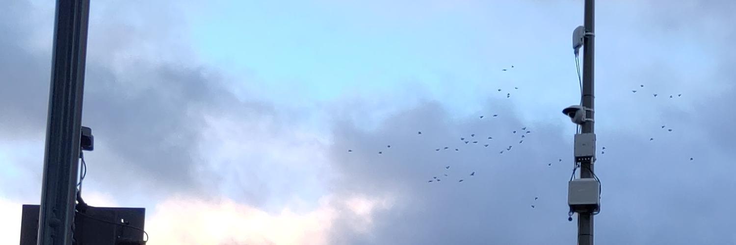 header profile